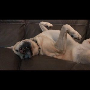 Meet your Posher, Conor